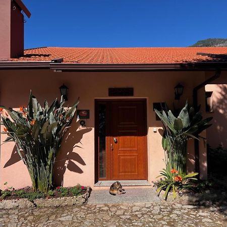 Villa Quinta De Gestacos à Gerês Extérieur photo