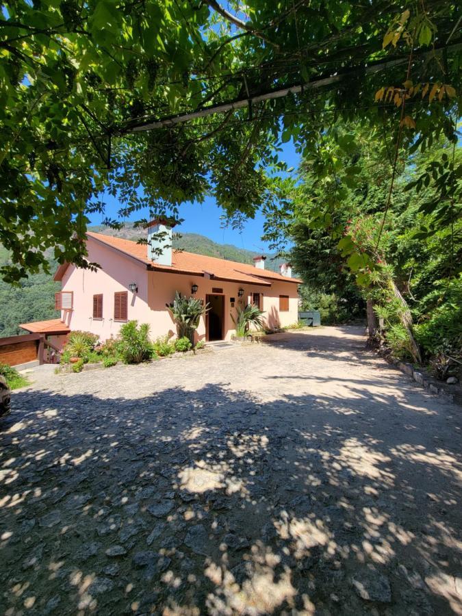 Villa Quinta De Gestacos à Gerês Extérieur photo