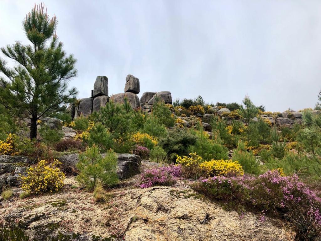 Villa Quinta De Gestacos à Gerês Extérieur photo